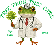 Tree Frog